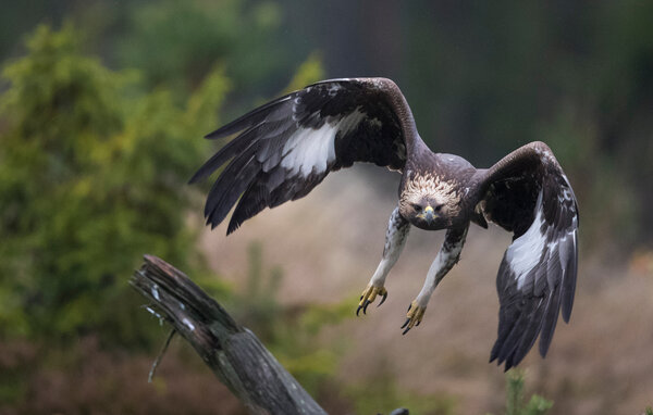 Semesterhus - Snogeholm/Sjöbo/Ystad , Sverige - S14212 910