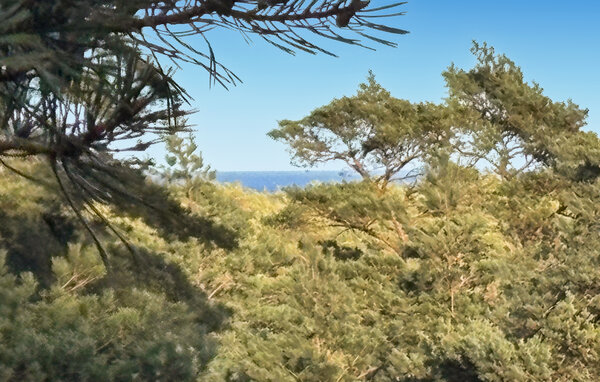 Semesterhus - Yngsjö/Åhus/Kristianstad , Sverige - S14213 201