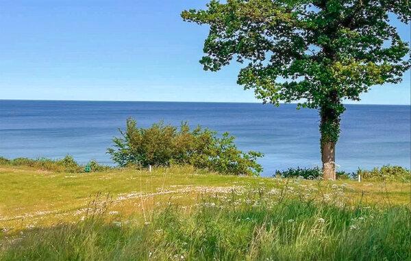 Domy wakacyjne - Brösarp/Österlen , Szwecja - S14227 901