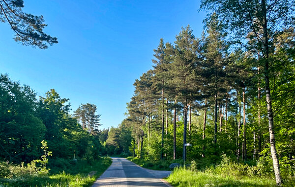 Domy wakacyjne - Brösarp/Österlen , Szwecja - S14227 903