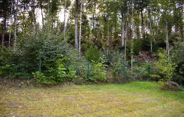 Ferienhaus - Ronneby , Schweden - S14230 102