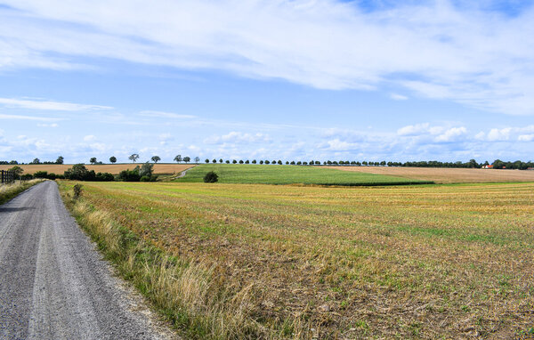 Domy wakacyjne - Tomelilla/Bollerup/Ystad , Szwecja - S14239 905