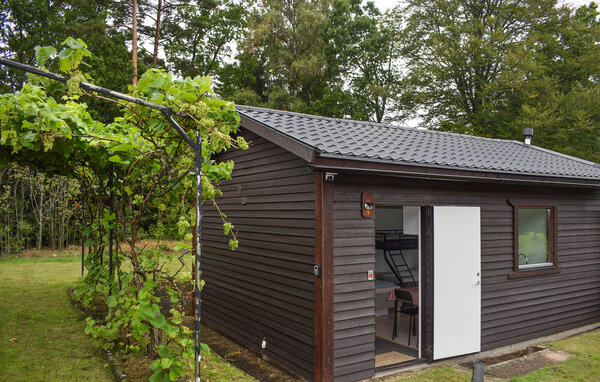 Ferienhaus - Höör/Hörby/Södra Rörum , Schweden - S14242 2