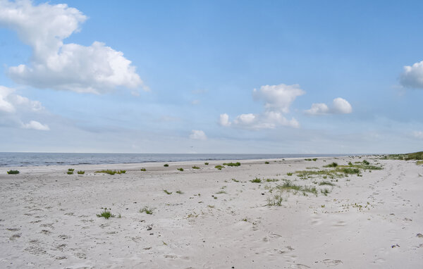 Domy wakacyjne - Borrby/Simrishamn/Ystad , Szwecja - S14243 901