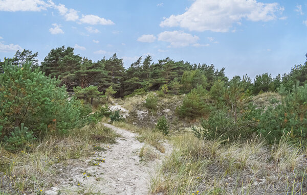 Domy wakacyjne - Borrby/Simrishamn/Ystad , Szwecja - S14243 903