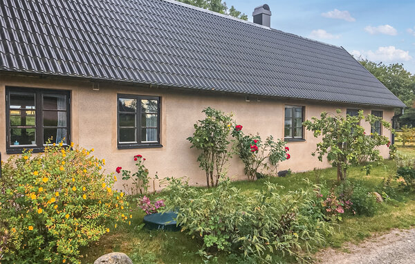 Semesterhus - Österlen/Skillinge , Sverige - S14247 8