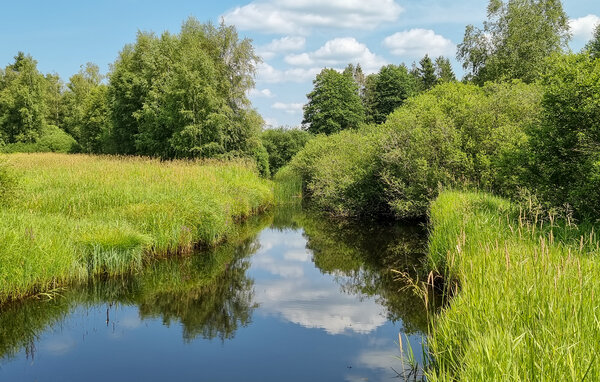 Vakantiehuis - Örkelljunga , Zweden - S14333 905