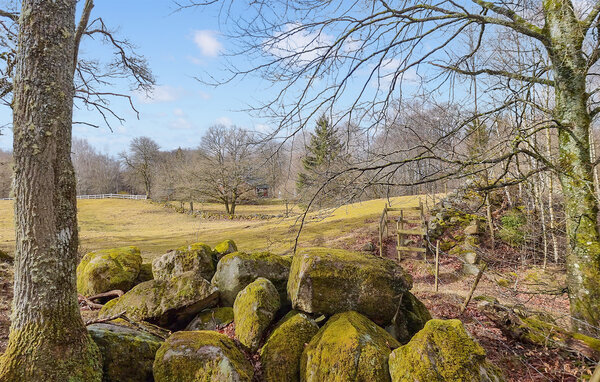 Holiday Home - Örkelljunga , Sweden - S14335 904