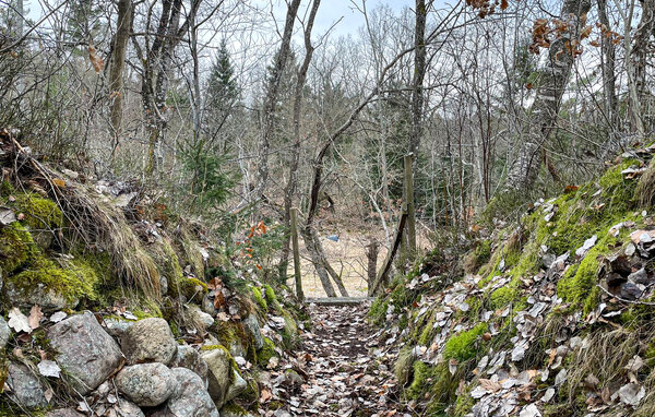 Ferienhaus - Munka-Ljungby/Västersjön , Schweden - S14361 102