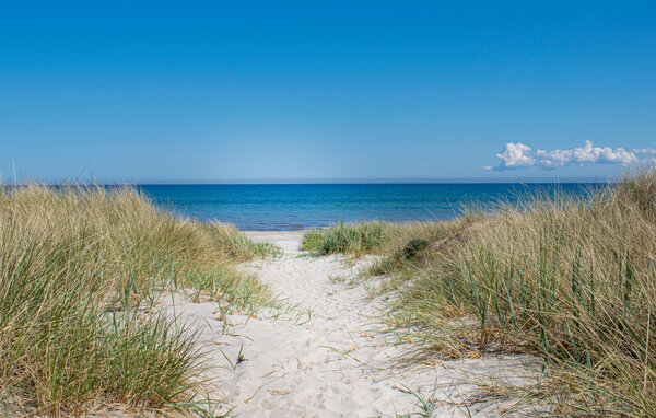 Vakantiehuis - Sandhammaren/Österlen , Zweden - S14471 901