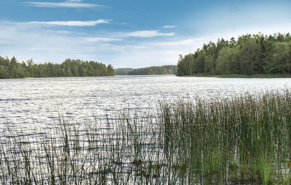 Domy wakacyjne - Unnaryd , Szwecja - S16165 201