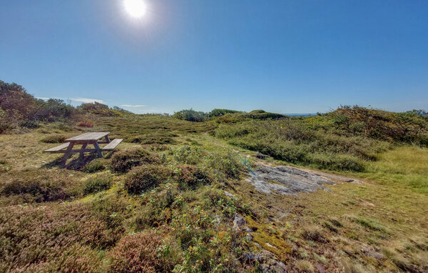 Holiday Home - Ugglarp/Falkenberg , Sweden - S16421 904