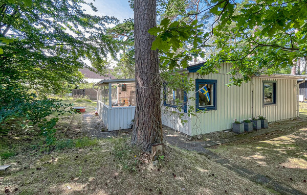 Ferienhaus - Mellbystrand , Schweden - S16460 81