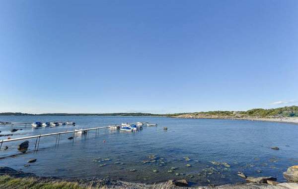 Vakantiehuis - Frillesås , Zweden - S16463 903
