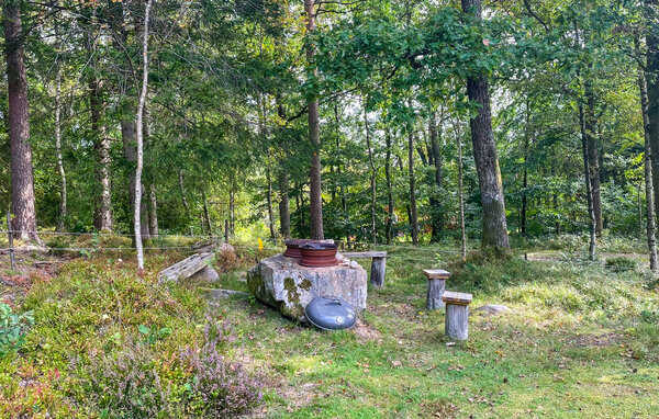 Holiday Home - Mjöhult/Ätran , Sweden - S16464 103