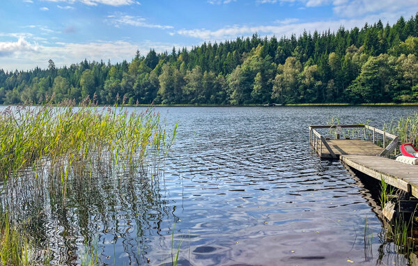 Holiday Home - Mjöhult/Ätran , Sweden - S16464 104