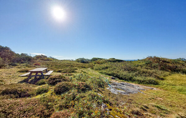Semesterhus - Heberg/Falkenberg , Sverige - S16473 901