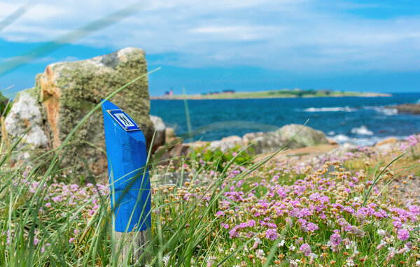Semesterhus - Östra Stranden/Halmstad , Sverige - S16484 901