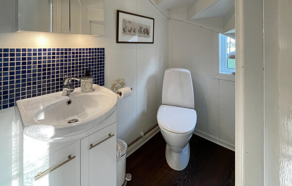 Vakantiehuis - Ränneslöv/Laholm , Zweden - S16522 702