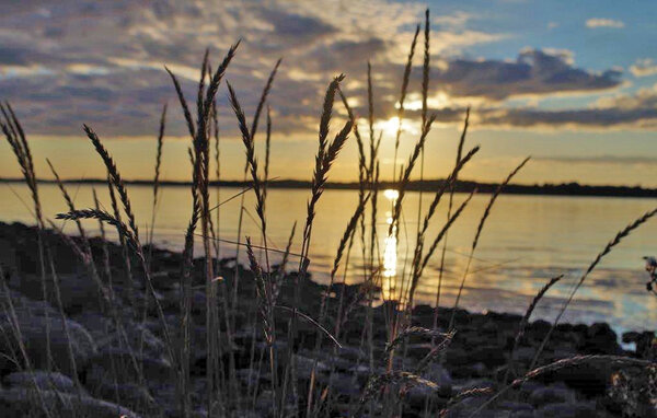 Feriehus - Åsa , Sverige - S16555 904