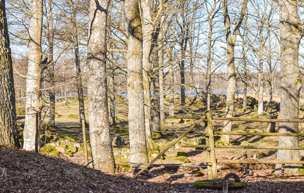 Semesterlägenhet - Älmtamåla-Holmsjö , Sverige - S20211 103