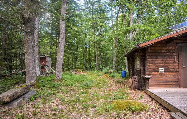Semesterhus - Svängsta/Mörrum , Sverige - S20322 7