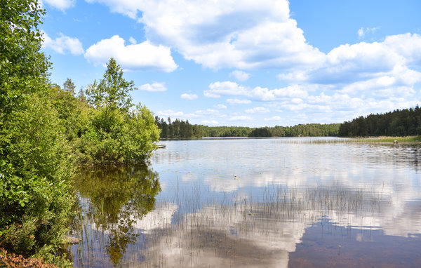 Holiday Home - Backaryd/Ronneby , Sweden - S20367 104