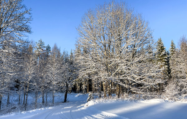 Holiday Home - Vislanda , Sweden - S25115 7