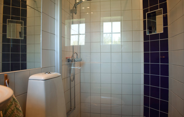 Ferienhaus - Asaryd , Schweden - S25317 701