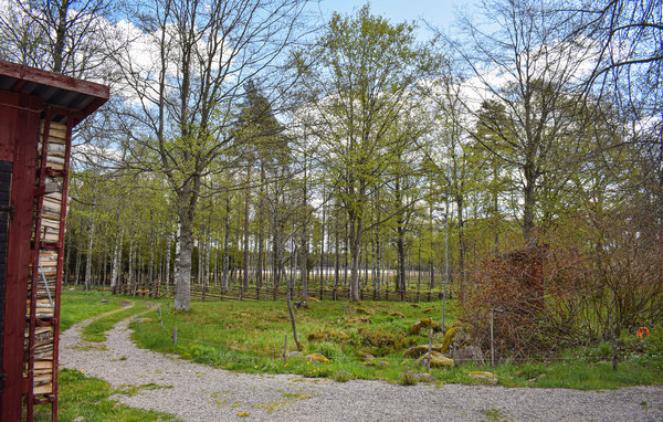Ferienhaus - Asaryd , Schweden - S25317 103