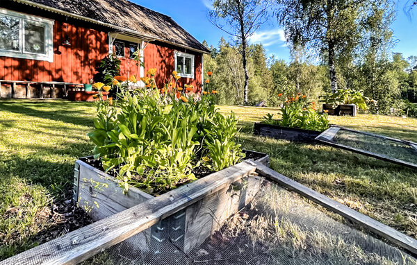 Semesterhus - Hallaryd , Sverige - S25384 103