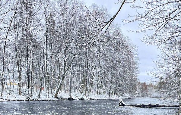 Semesterhus - Hallaryd , Sverige - S25384 107