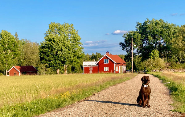 Semesterhus - Norrhult , Sverige - S25397 1