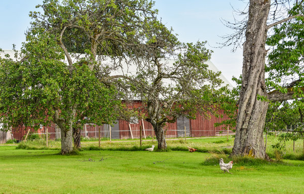 Holiday Home - Braås , Sweden - S25398 103