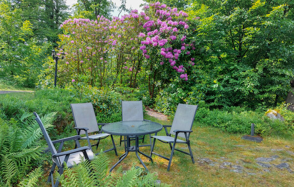 Holiday Home - Norra Haghult/Markaryd , Sweden - S25526 101
