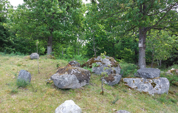 Semesterhus - Sunnerå/Ljungby , Sverige - S25528 104