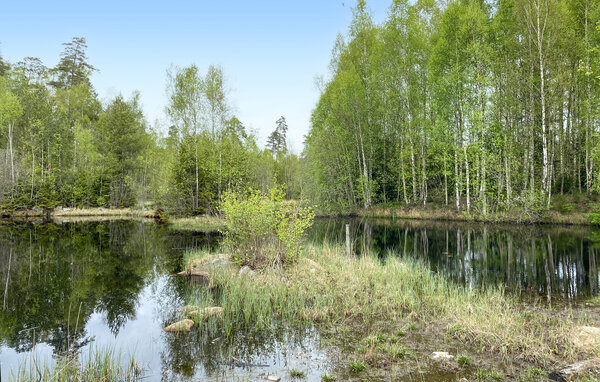 Ferienhaus - Buskahult/Urshult , Schweden - S25570 901