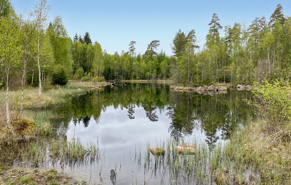 Ferienhaus - Buskahult/Urshult , Schweden - S25570 902