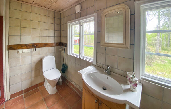 Ferienhaus - Buskahult/Urshult , Schweden - S25570 703