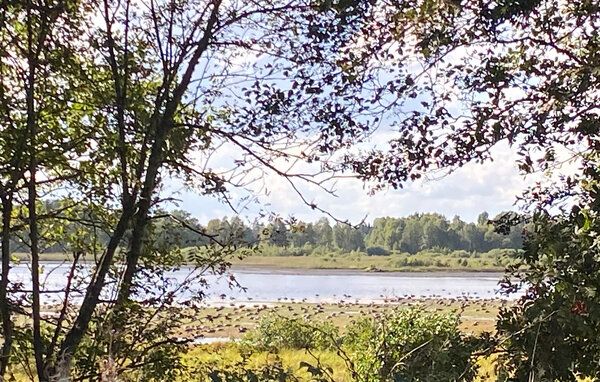 Semesterhus - Växjö/Jät , Sverige - S25601 901