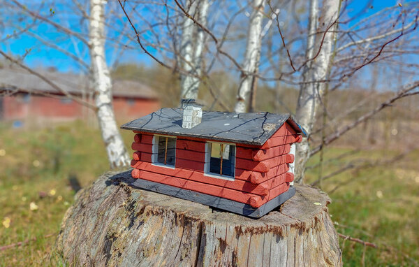 Ferienhaus - Angelstad/Ljungby , Schweden - S25628 101