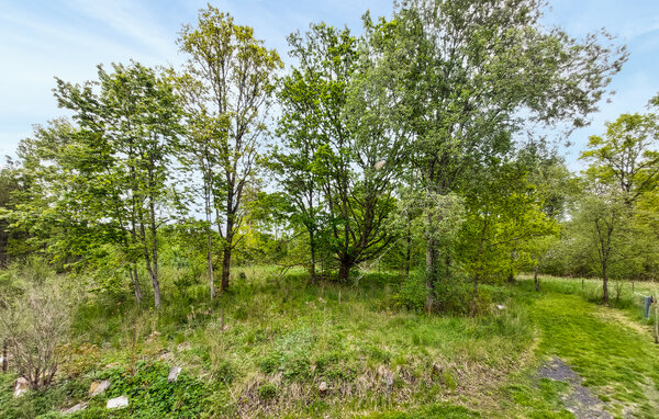 Ferienhaus - Diö/Älmhult , Schweden - S25635 101