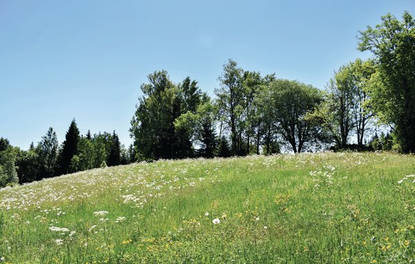 Ferienhaus - Månsarp , Schweden - S30233 902
