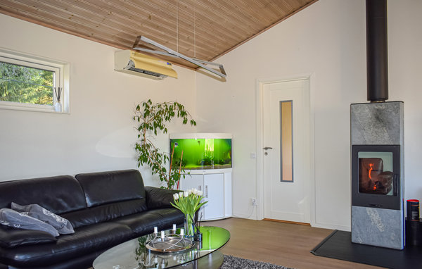 Ferienhaus - Lekeryd , Schweden - S30322 302