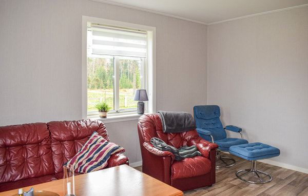 Domy wakacyjne - Vetlanda , Szwecja - S30357 302
