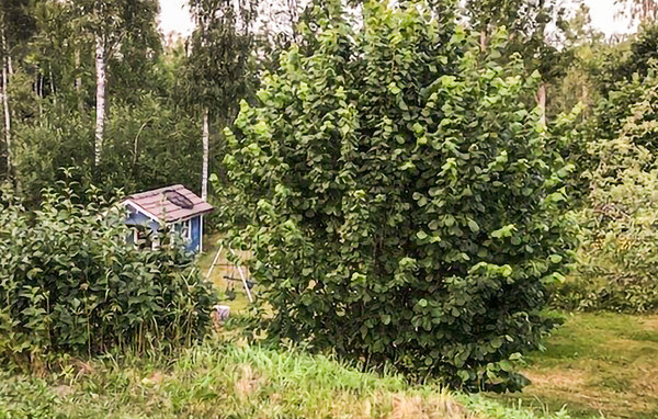 Ferienhaus - Lekeryd , Schweden - S30359 105