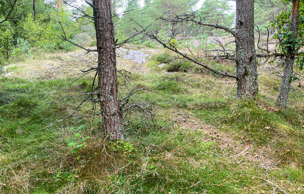 Vakantiehuis - Kvillsfors/Vetlanda , Zweden - S30412 101