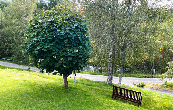 Ferienhaus - Sävsjö/Jönköping/Nässjö/Eksjö , Schweden - S30500 202