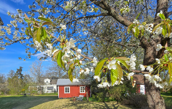 Semesterlägenhet - Rörvik/Sävsjö/Lammhult , Sverige - S30511 1