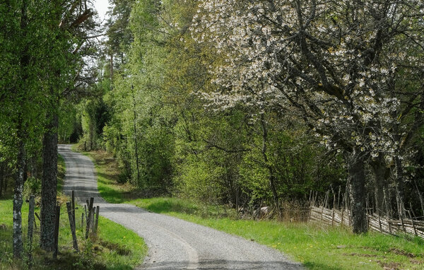 Vakantiehuis - Eksjö/Jönköping/Aneby , Zweden - S30577 903